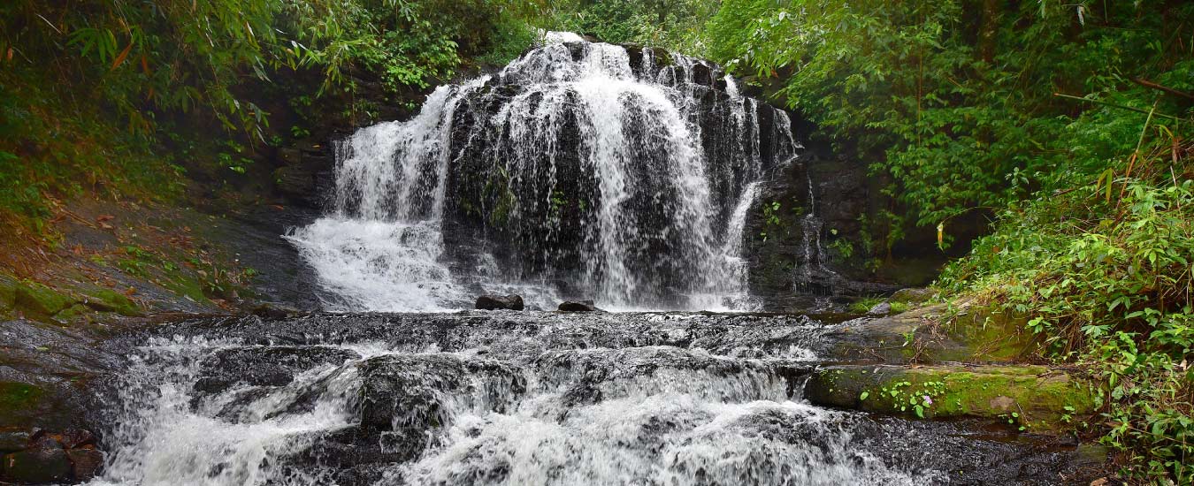 Thekkady – Gavi Wildlife Safari tour package